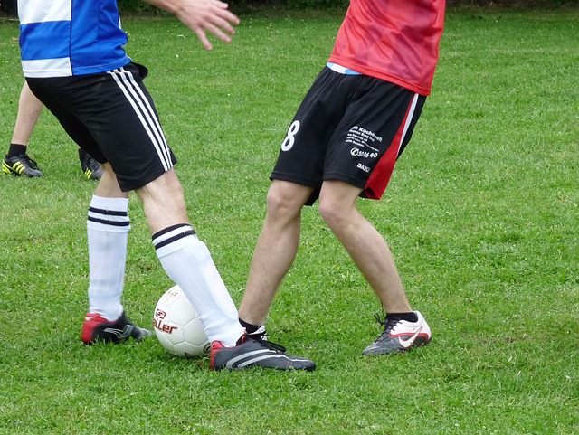 但他像邓丽 但他像邓丽