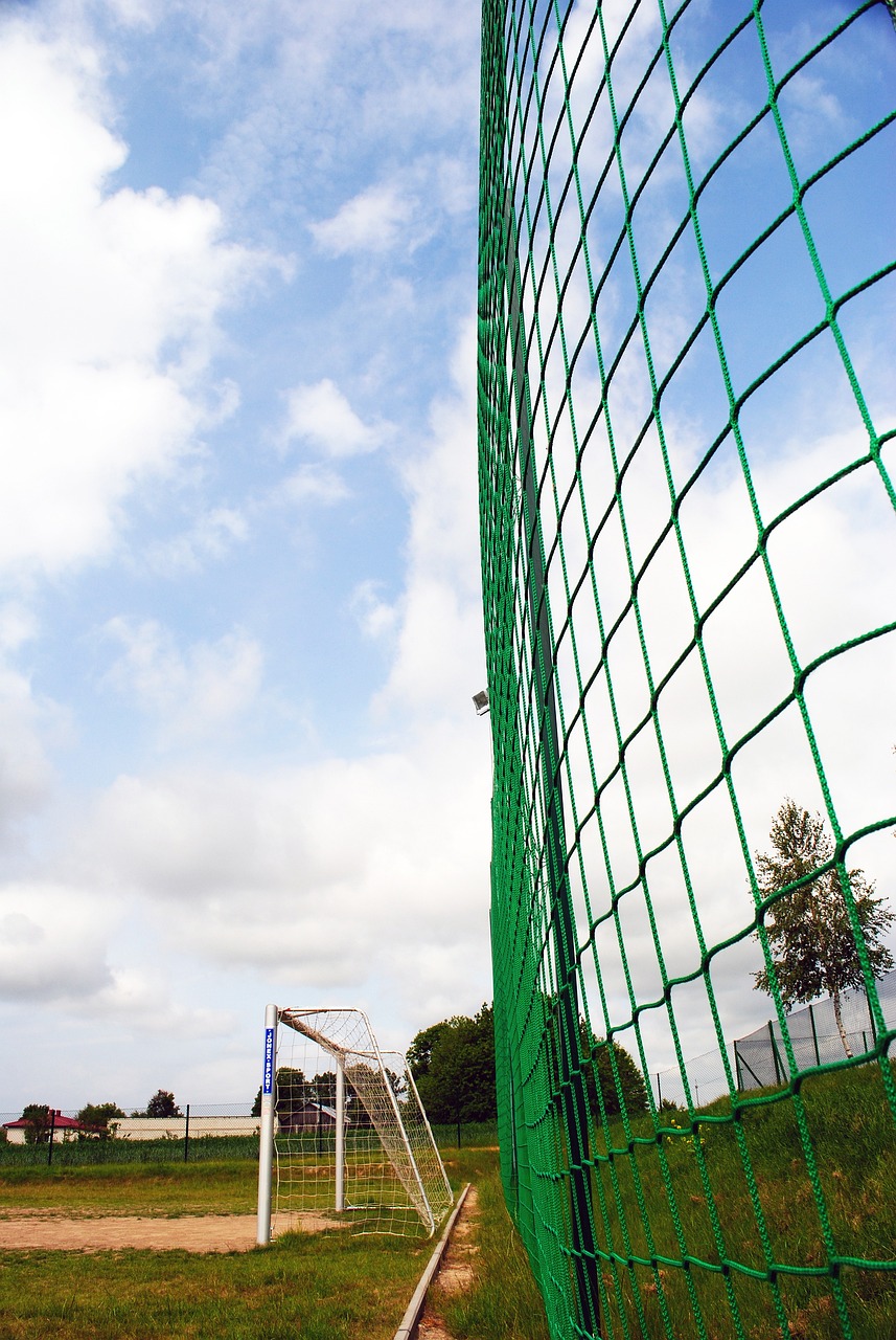 也是对其未 也是对其未