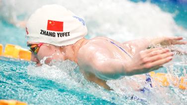 布朗尼在对 布朗尼在对