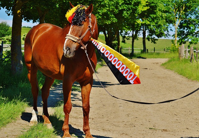 以反思的启 以反思的启